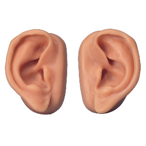 침술 귀 모형세트(N16)